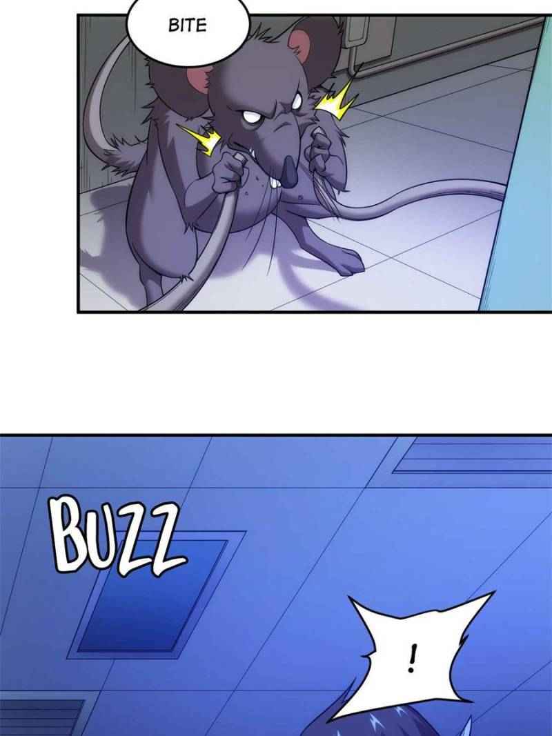 Page 13 of Chapter 238