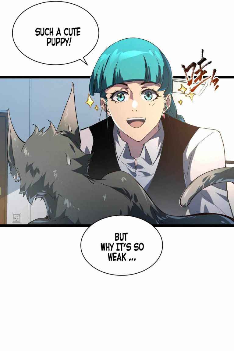 Page 13 of Chapter 82.5
