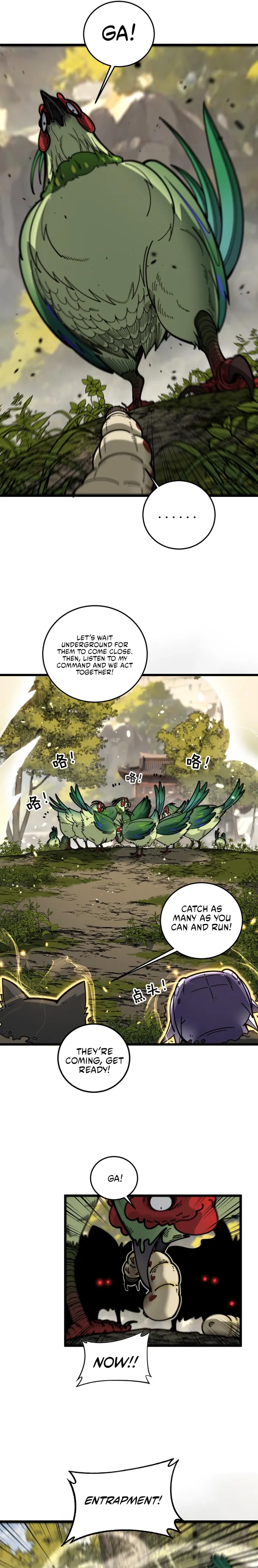 Page 17 of Chapter 15