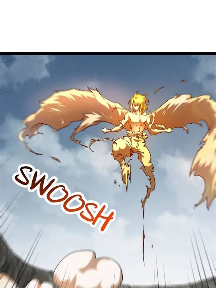 Page 13 of Chapter 210