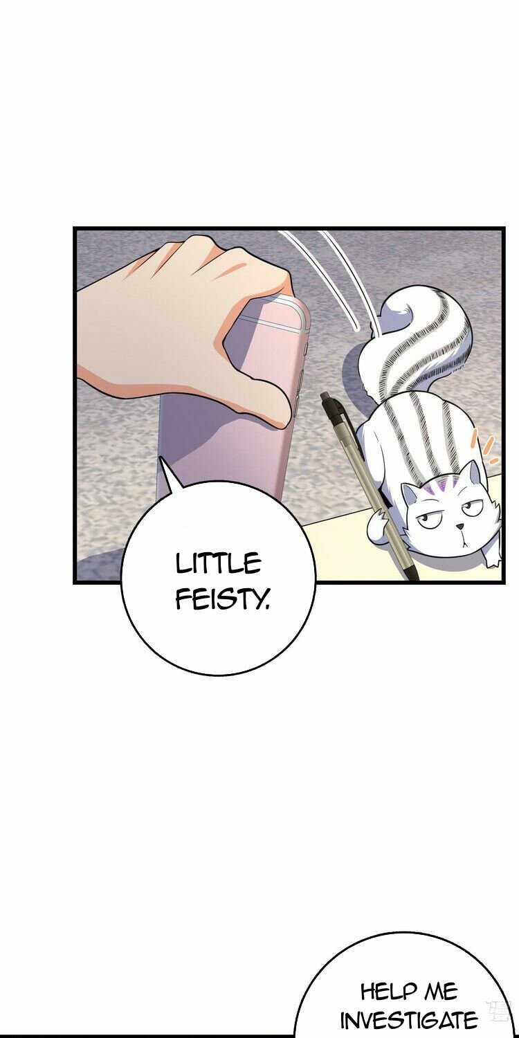 Page 41 of Chapter 257