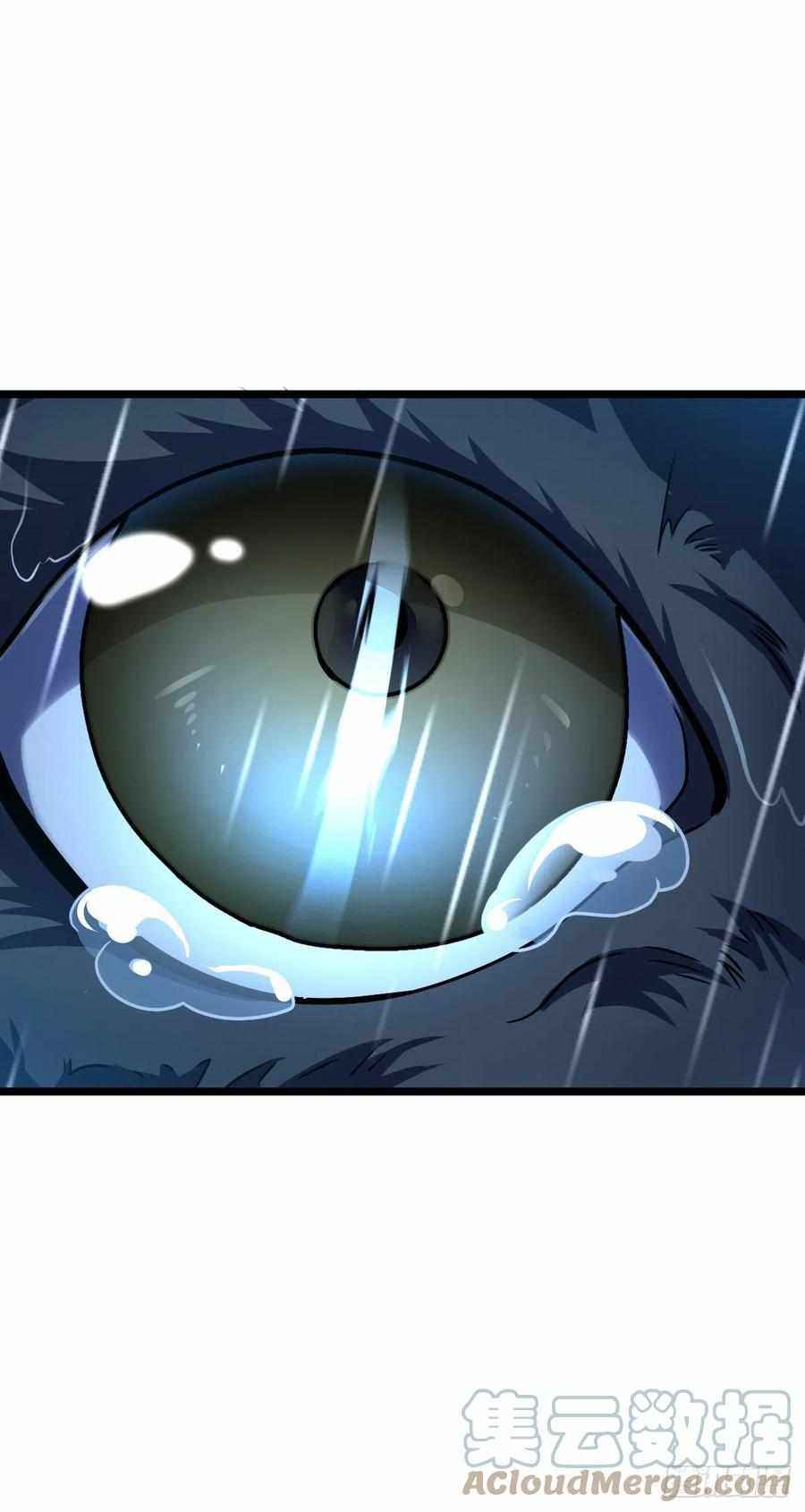 Page 39 of Chapter 348