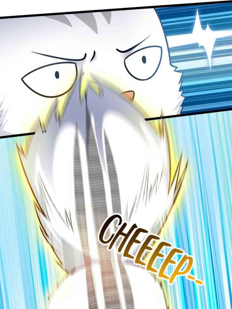 Page 17 of Chapter 71