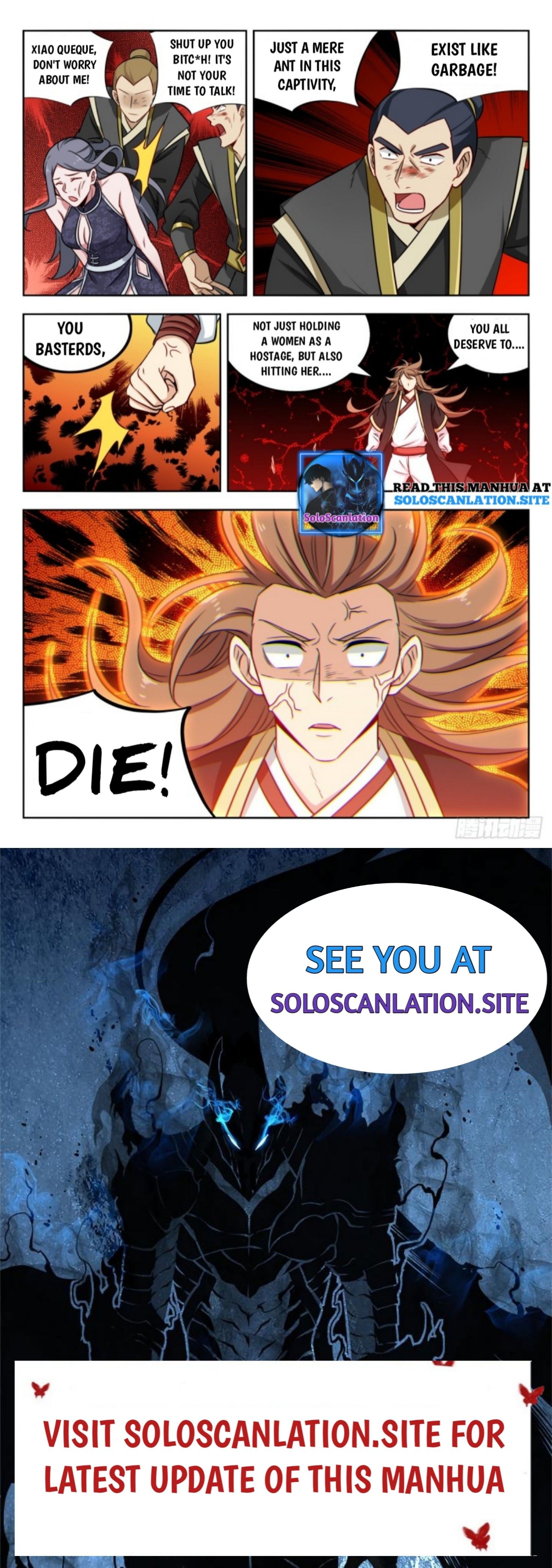 Page 13 of Chapter 219