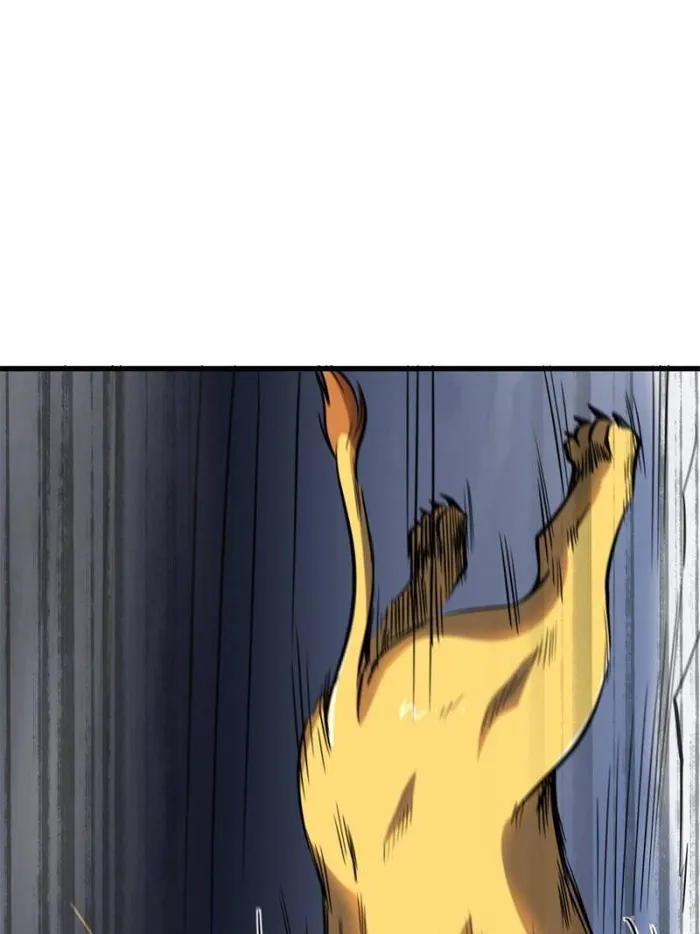 Page 13 of Chapter 142