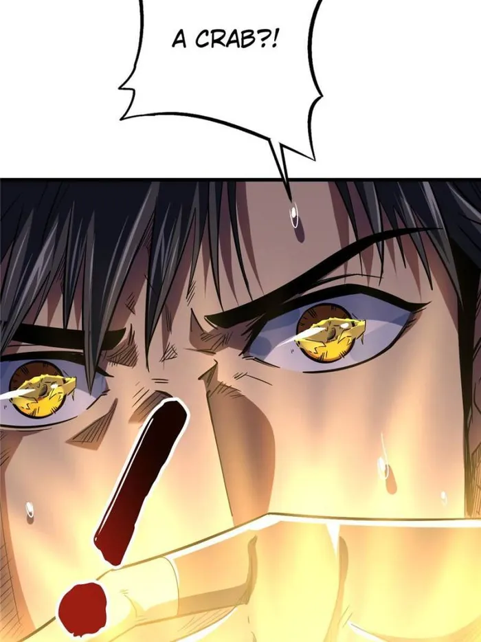 Page 74 of Chapter 162