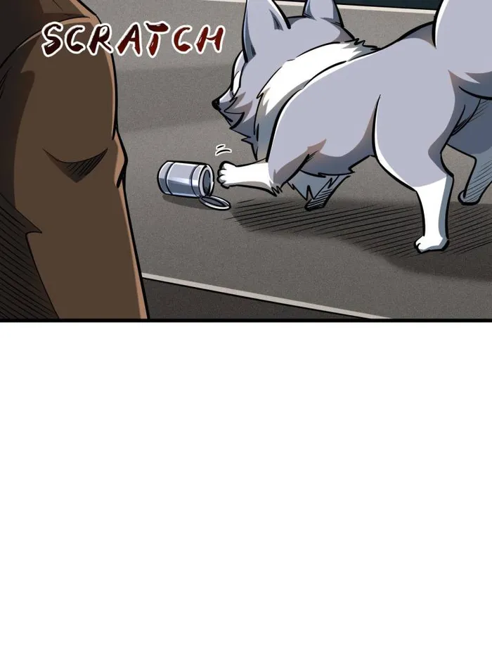 Page 13 of Chapter 202