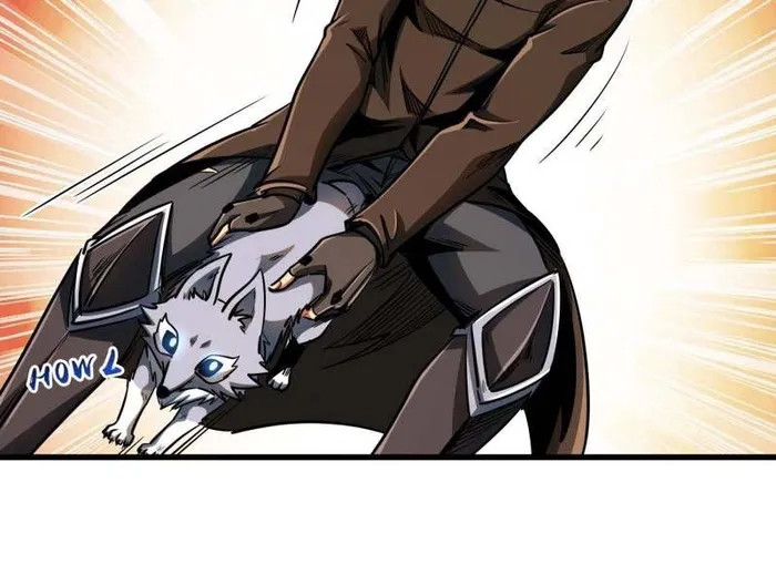 Page 11 of Chapter 208