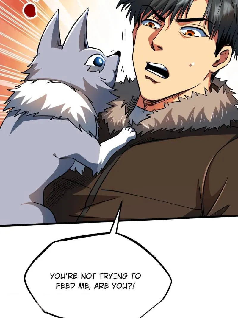 Page 14 of Chapter 213