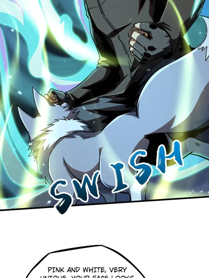 Page 20 of Chapter 213