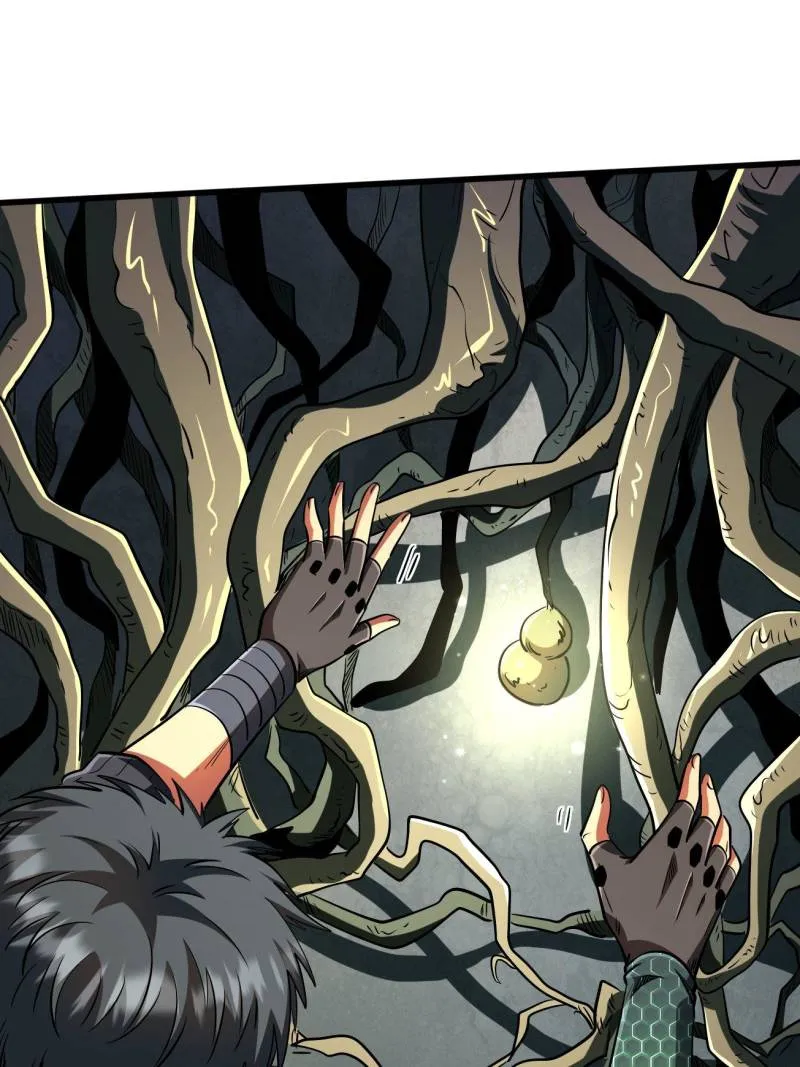 Page 33 of Chapter 215