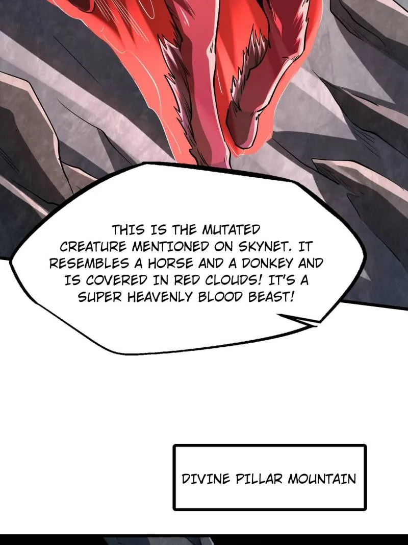 Page 13 of Chapter 216