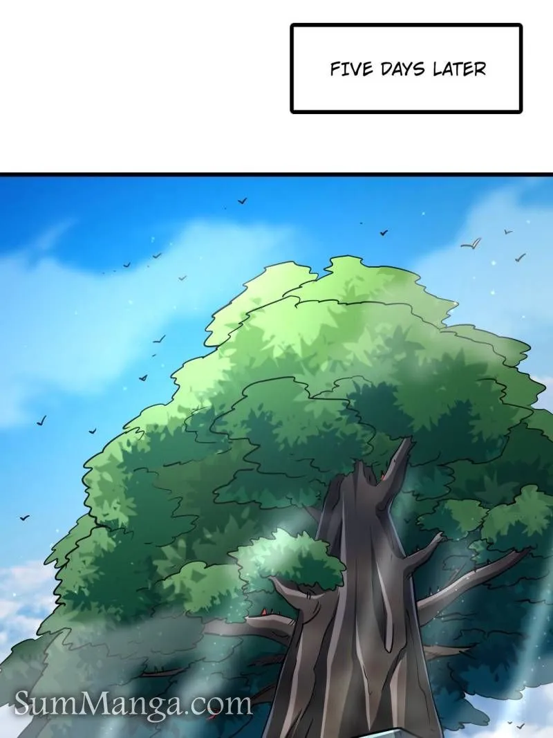Page 17 of Chapter 216