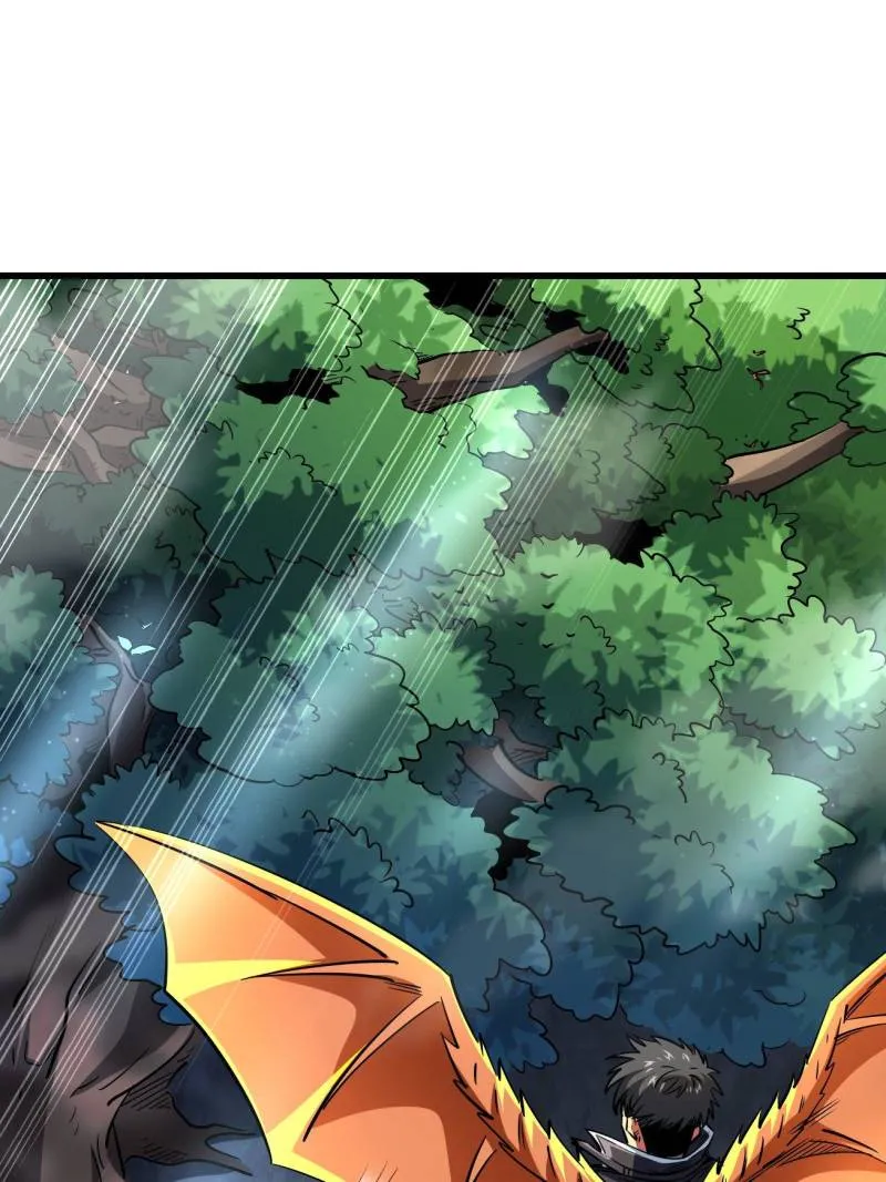 Page 31 of Chapter 216