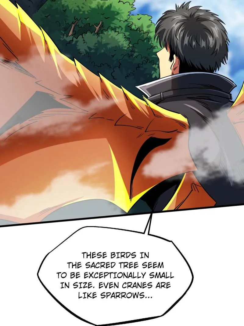 Page 39 of Chapter 216