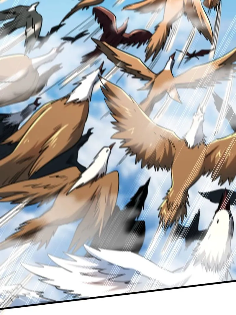 Page 41 of Chapter 216