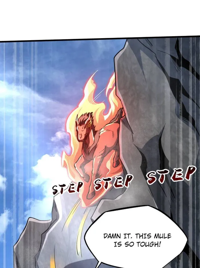 Page 12 of Chapter 218