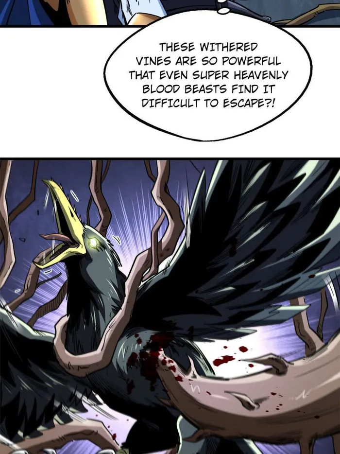 Page 33 of Chapter 219