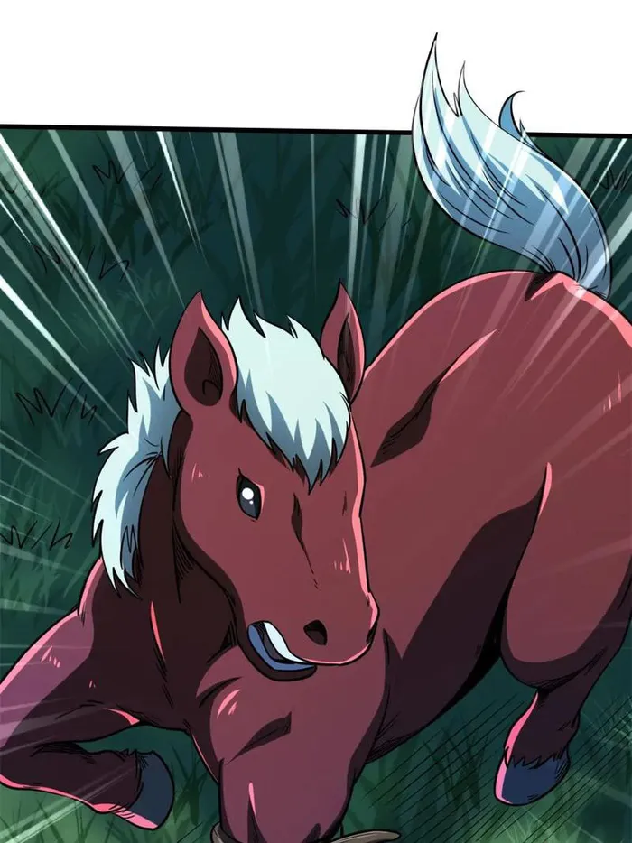 Page 49 of Chapter 232