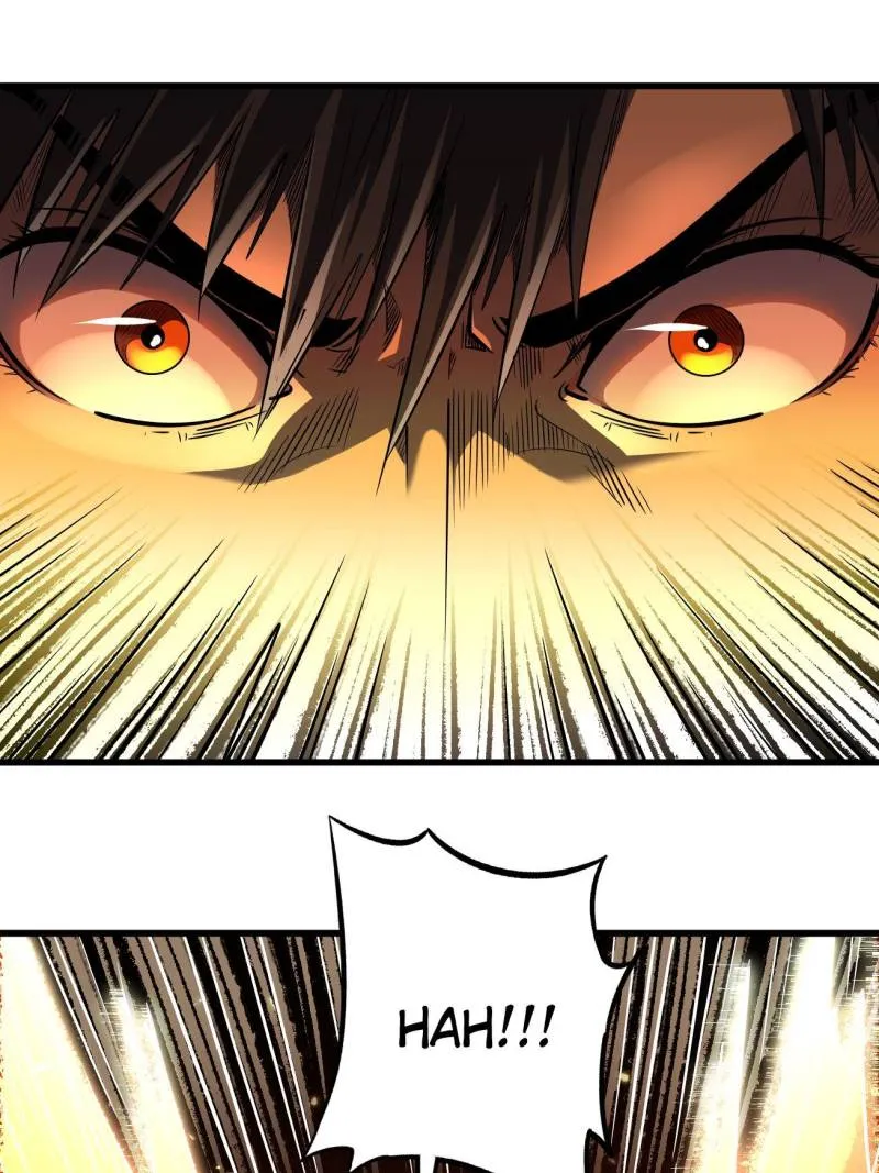 Page 43 of Chapter 241
