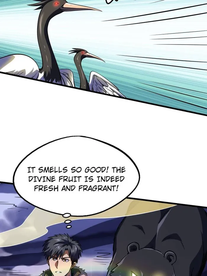 Page 13 of Chapter 245