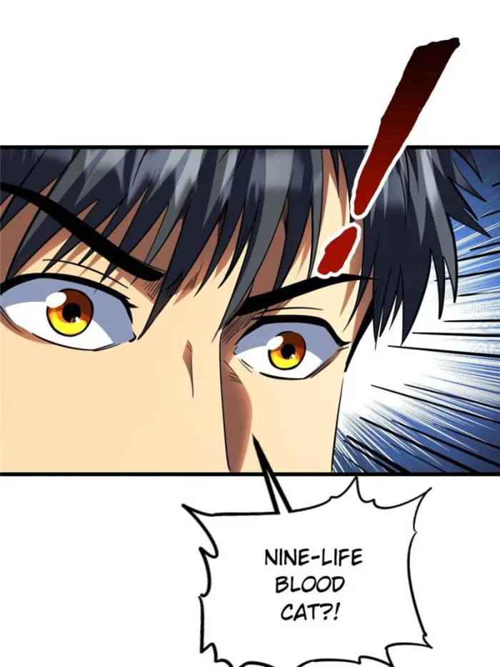 Page 44 of Chapter 276