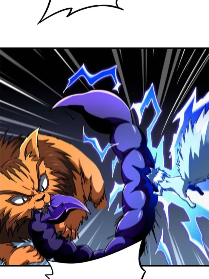 Page 66 of Chapter 279