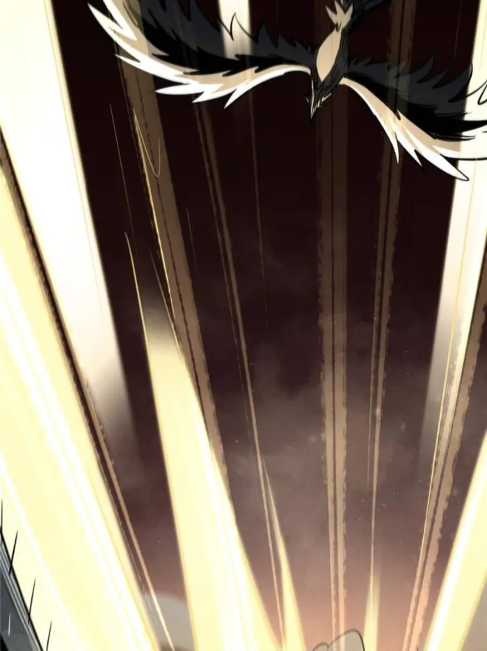 Page 44 of Chapter 288