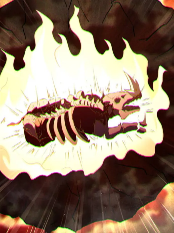 Page 66 of Chapter 288