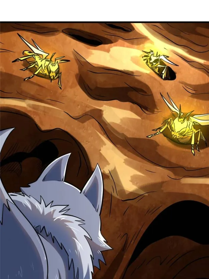 Page 37 of Chapter 293