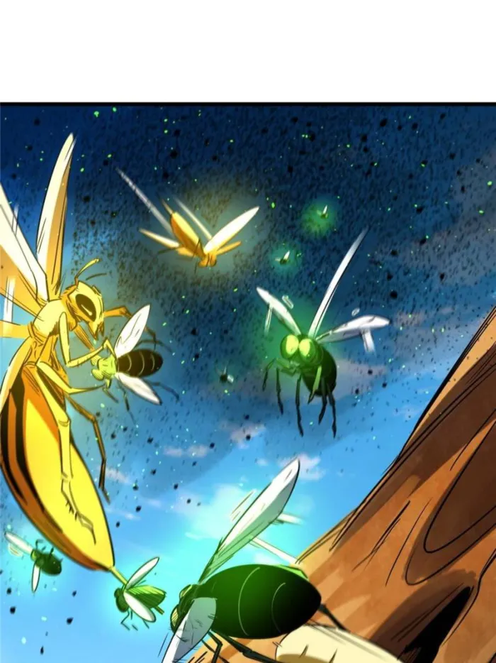 Page 12 of Chapter 294