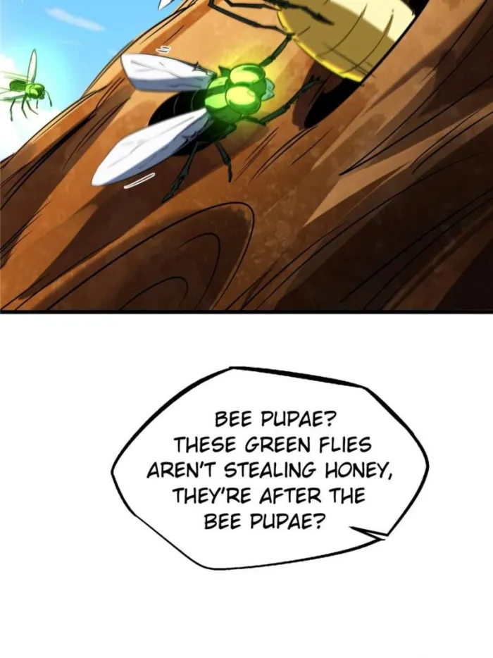 Page 13 of Chapter 294