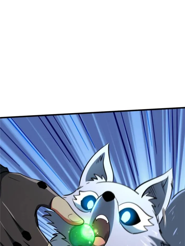 Page 79 of Chapter 294