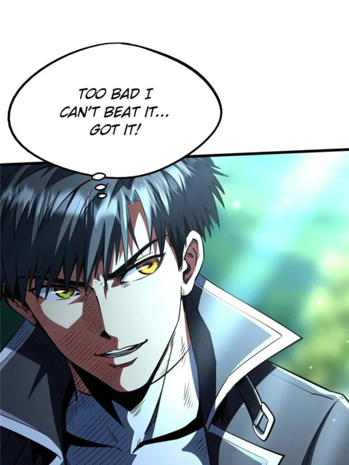 Page 13 of Chapter 295