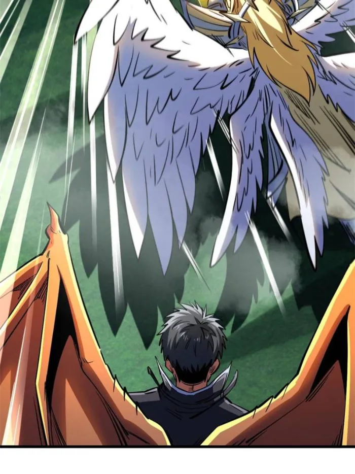 Page 25 of Chapter 311