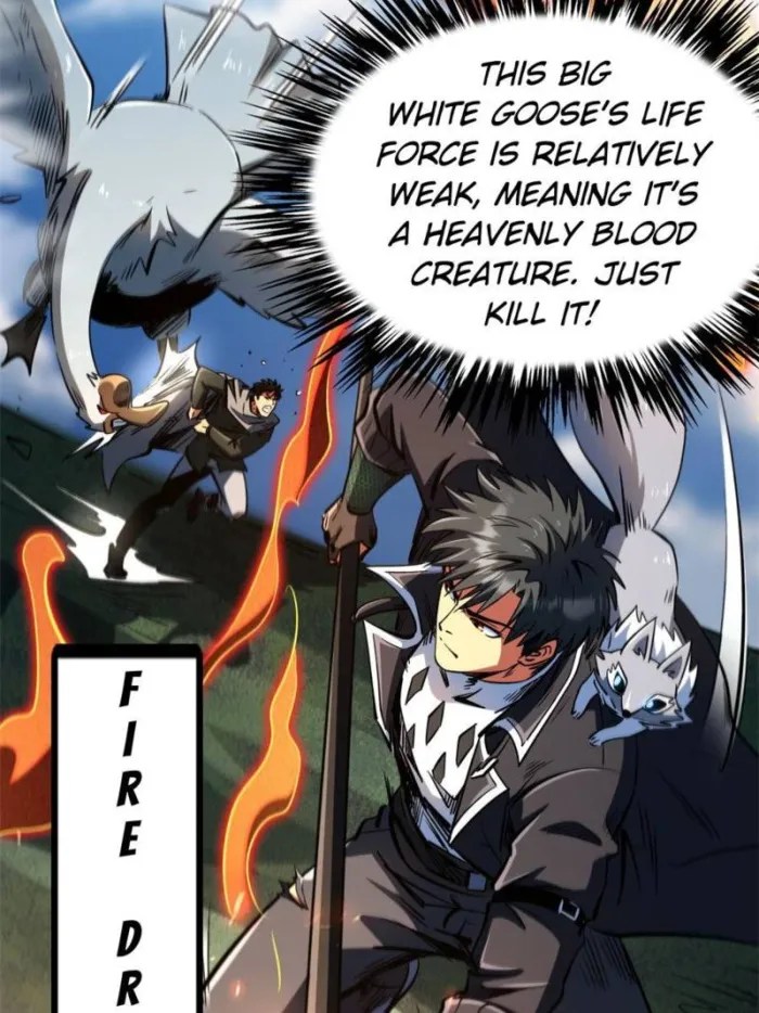Page 52 of Chapter 312