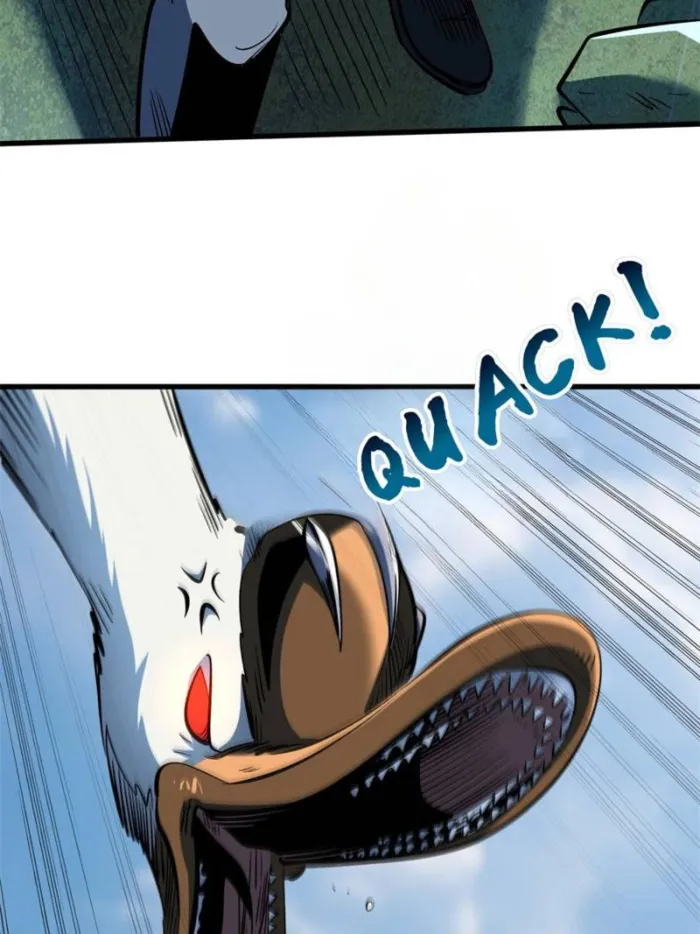 Page 5 of Chapter 313