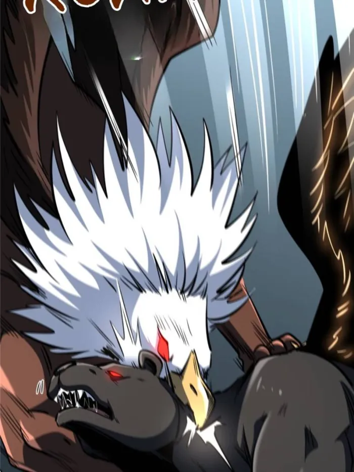 Page 4 of Chapter 317