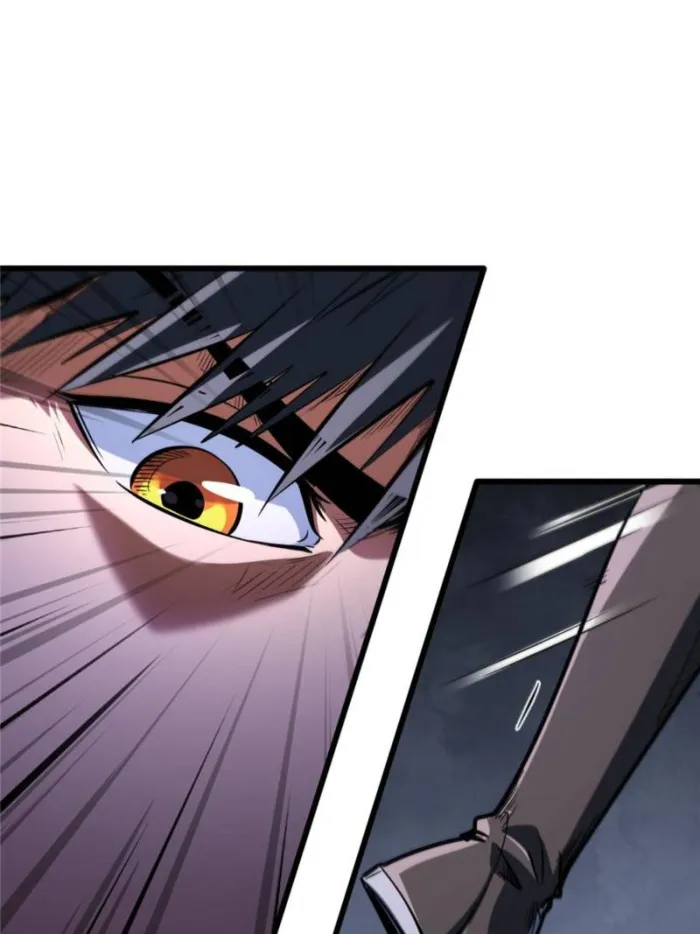 Page 66 of Chapter 317