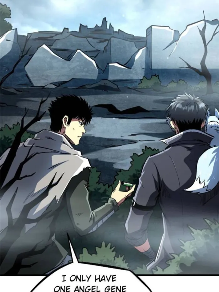 Page 43 of Chapter 336