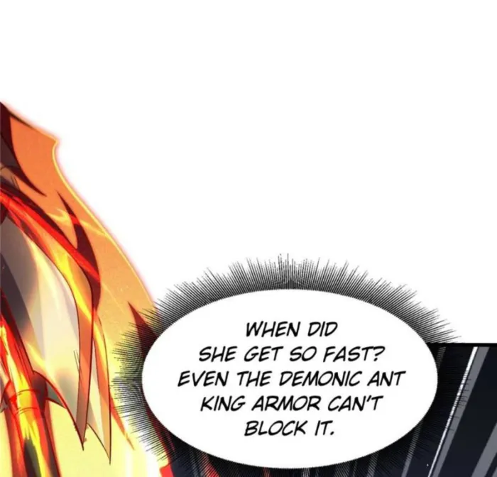 Page 40 of Chapter 338