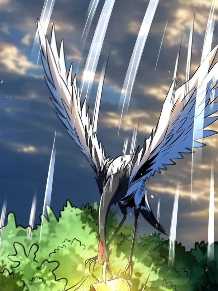 Page 17 of Chapter 344