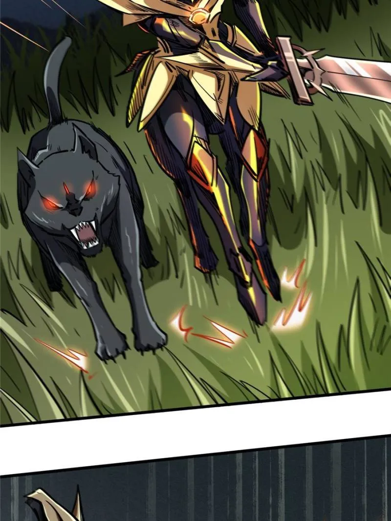Page 41 of Chapter 91