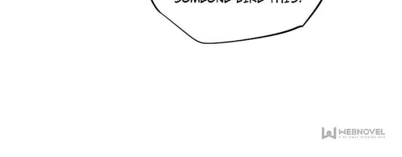 Page 19 of Chapter 94