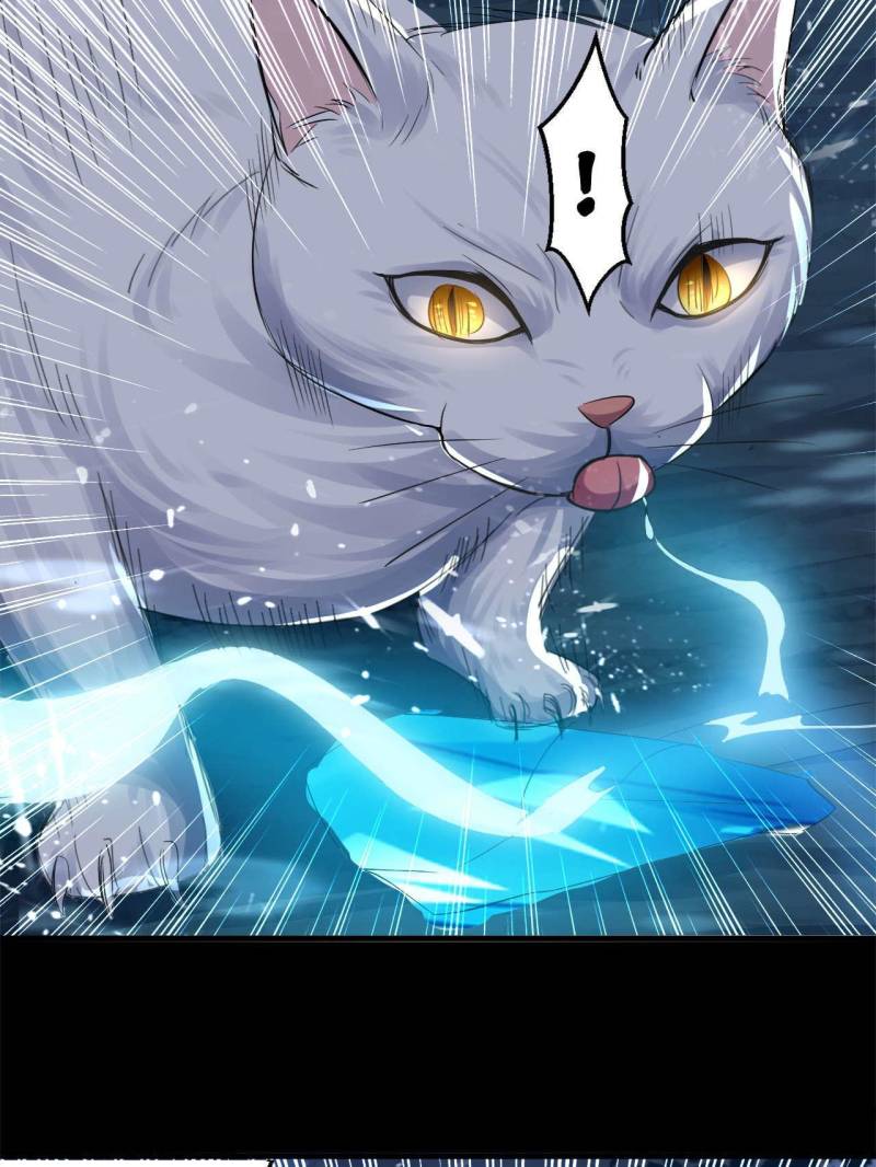 Page 5 of Chapter 48