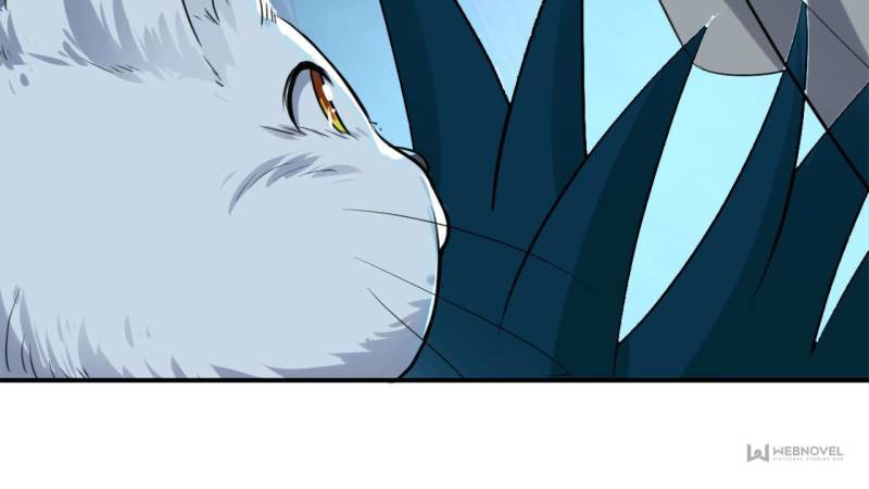 Page 41 of Chapter 50