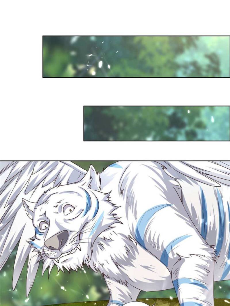 Page 66 of Chapter 96