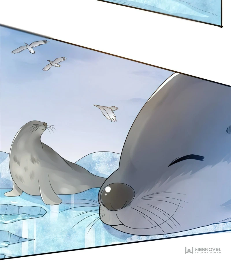 Page 13 of Chapter 234