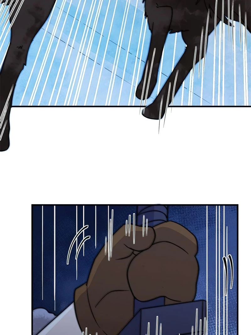 Page 11 of Chapter 241