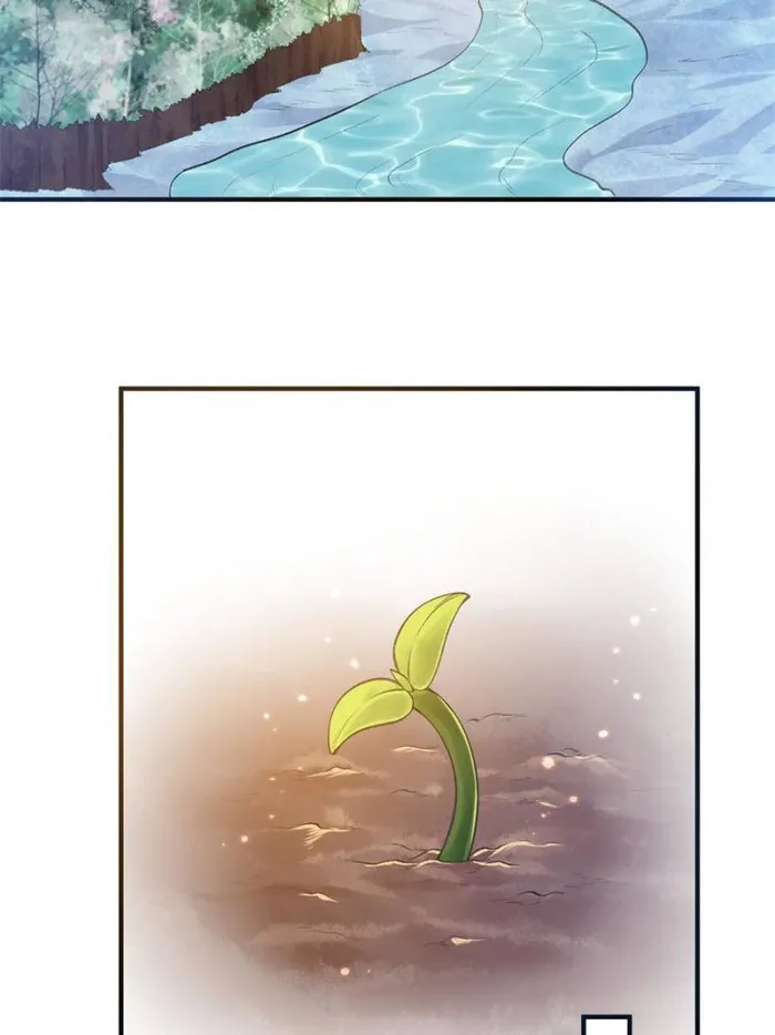 Page 47 of Chapter 243